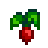 Radish